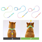 Maxbell Dog Leash for Small Medium Puppy Dog Training Walking Leash Beach Exercising Green