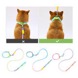 Maxbell Dog Leash for Small Medium Puppy Dog Training Walking Leash Beach Exercising Green