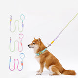 Maxbell Dog Leash for Small Medium Puppy Dog Training Walking Leash Beach Exercising Green