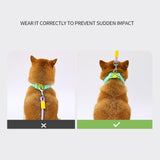 Maxbell Dog Leash for Small Medium Puppy Dog Training Walking Leash Beach Exercising Green
