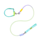 Maxbell Dog Leash for Small Medium Puppy Dog Training Walking Leash Beach Exercising Green