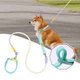 Maxbell Dog Leash for Small Medium Puppy Dog Training Walking Leash Beach Exercising Green