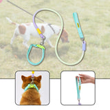 Maxbell Dog Leash for Small Medium Puppy Dog Training Walking Leash Beach Exercising Green