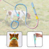 Maxbell Dog Leash for Small Medium Puppy Dog Training Walking Leash Beach Exercising blue