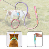 Maxbell Dog Leash for Small Medium Puppy Dog Training Walking Leash Beach Exercising Pink