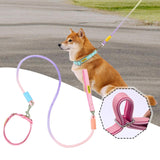 Maxbell Dog Leash for Small Medium Puppy Dog Training Walking Leash Beach Exercising Pink