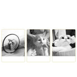 Maxbell Dog Cat Cone Collar Adjustable Practical Protective Collar for Kittens Puppy S