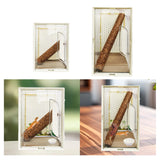 Maxbell Reptile Terrarium Portable Reptile Feeding Box for Frog Snake Bearded Dragon S