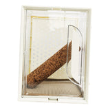 Maxbell Reptile Terrarium Portable Reptile Feeding Box for Frog Snake Bearded Dragon S