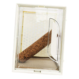 Maxbell Reptile Terrarium Portable Reptile Feeding Box for Frog Snake Bearded Dragon S