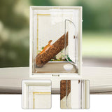 Maxbell Reptile Terrarium Portable Reptile Feeding Box for Frog Snake Bearded Dragon S