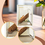 Maxbell Reptile Terrarium Portable Reptile Feeding Box for Frog Snake Bearded Dragon S