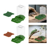 Maxbell Reptile Water Dispenser Feeder Water Bottle for Geckos Bearded Dragon green