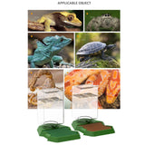 Maxbell Reptile Water Dispenser Feeder Water Bottle for Geckos Bearded Dragon green