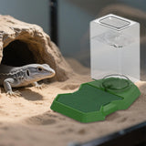 Maxbell Reptile Water Dispenser Feeder Water Bottle for Geckos Bearded Dragon green