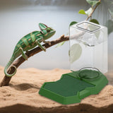 Maxbell Reptile Water Dispenser Feeder Water Bottle for Geckos Bearded Dragon green