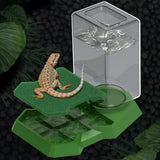 Maxbell Reptile Water Dispenser Feeder Water Bottle for Geckos Bearded Dragon green