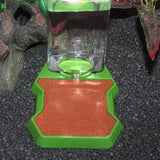 Maxbell Reptile Water Dispenser Feeder Water Bottle for Geckos Bearded Dragon brown