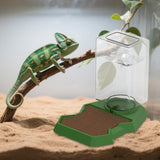 Maxbell Reptile Water Dispenser Feeder Water Bottle for Geckos Bearded Dragon brown