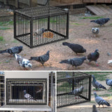 Maxbell Bird Cage Portable Metal Automatic Pigeons Collector for Feral Parrots Doves without skylight 4 Entrance