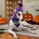 Maxbell Halloween Pet Costume Hat and Bandana Set Cute Fancy Dress up for Dog Cats Purple S