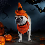 Maxbell Halloween Pet Costume Hat and Bandana Set Cute Fancy Dress up for Dog Cats Orange S