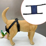 Maxbell Female Dog Diaper Comfortable Sturdy Doggy Diaper Breathable Briefs Reusable navy blue XL