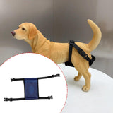 Maxbell Female Dog Diaper Comfortable Sturdy Doggy Diaper Breathable Briefs Reusable navy blue XL