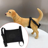 Maxbell Female Dog Diaper Comfortable Sturdy Doggy Diaper Breathable Briefs Reusable black L
