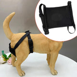 Maxbell Female Dog Diaper Comfortable Sturdy Doggy Diaper Breathable Briefs Reusable black L