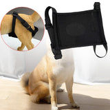 Maxbell Female Dog Diaper Comfortable Sturdy Doggy Diaper Breathable Briefs Reusable black XL