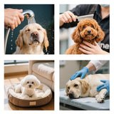 Maxbell 2Pcs Dog Slow Feeder Pad Food Dispenser Pad for Bathing Small and Large Dogs violet and blue