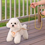 Maxbell Dog Harness with Leash Set Practical Sturdy Pet Training Adjustable Yellow