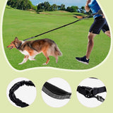 Maxbell Hands Free Dog Leash Waist Leash for Dog Walking for Walking Hiking Training