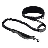 Maxbell Hands Free Dog Leash Waist Leash for Dog Walking for Walking Hiking Training