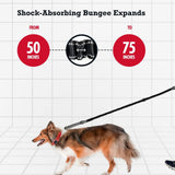 Maxbell Hands Free Dog Leash Waist Leash for Dog Walking for Walking Hiking Training