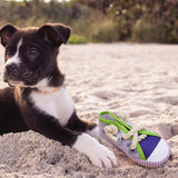 Maxbell Dog Chew Toy Exercise Playing Canvas Shoe Shape Tough Indestructible Tug Toy Purple