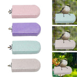 Maxbell Parrot Stand Beak Grinding Stone Nail Trims Bird Perch Platform Violet