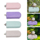 Maxbell Parrot Stand Beak Grinding Stone Nail Trims Bird Perch Platform Violet