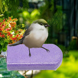 Maxbell Parrot Stand Beak Grinding Stone Nail Trims Bird Perch Platform Violet