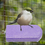 Maxbell Parrot Stand Beak Grinding Stone Nail Trims Bird Perch Platform Violet