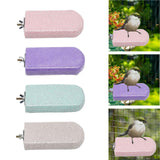 Maxbell Parrot Stand Beak Grinding Stone Nail Trims Bird Perch Platform Violet