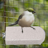 Maxbell Parrot Stand Beak Grinding Stone Nail Trims Bird Perch Platform Gray