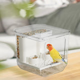 Maxbell Automatic Parrot Feeder Storage Food Dispenser for Small Birds Budgies Finch