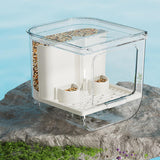 Maxbell Automatic Parrot Feeder Storage Food Dispenser for Small Birds Budgies Finch