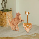 Maxbell Cat Puzzle Toy Present Activity Enrichment Exercise Fun Interactive Cat Toys Triangle