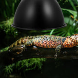 Maxbell Reptile Dome Lamp Cover Aluminum Lampshade for Turtles Lizard Bearded Dragon 5.8in