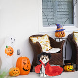 Maxbell Pet Halloween Costume Clothes Devil Cloak Cape for Show Celebrations