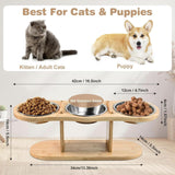 Maxbell Elevated Tilted Cat Bowl Pet Food Water Dish Indoor Watering Raised Dog Bowl