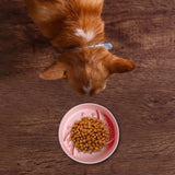 Maxbell Pet Dog Slow Feeder Bowl Non Slip Food Storage Container Dogs Kitty pink